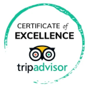 New Project (14) New Project (14)