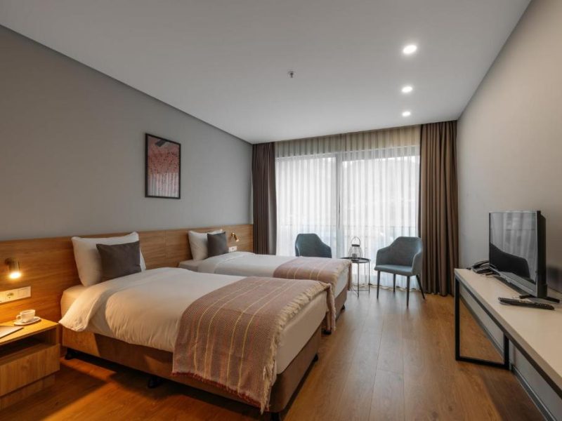 Double/Twin Room with Mountain View