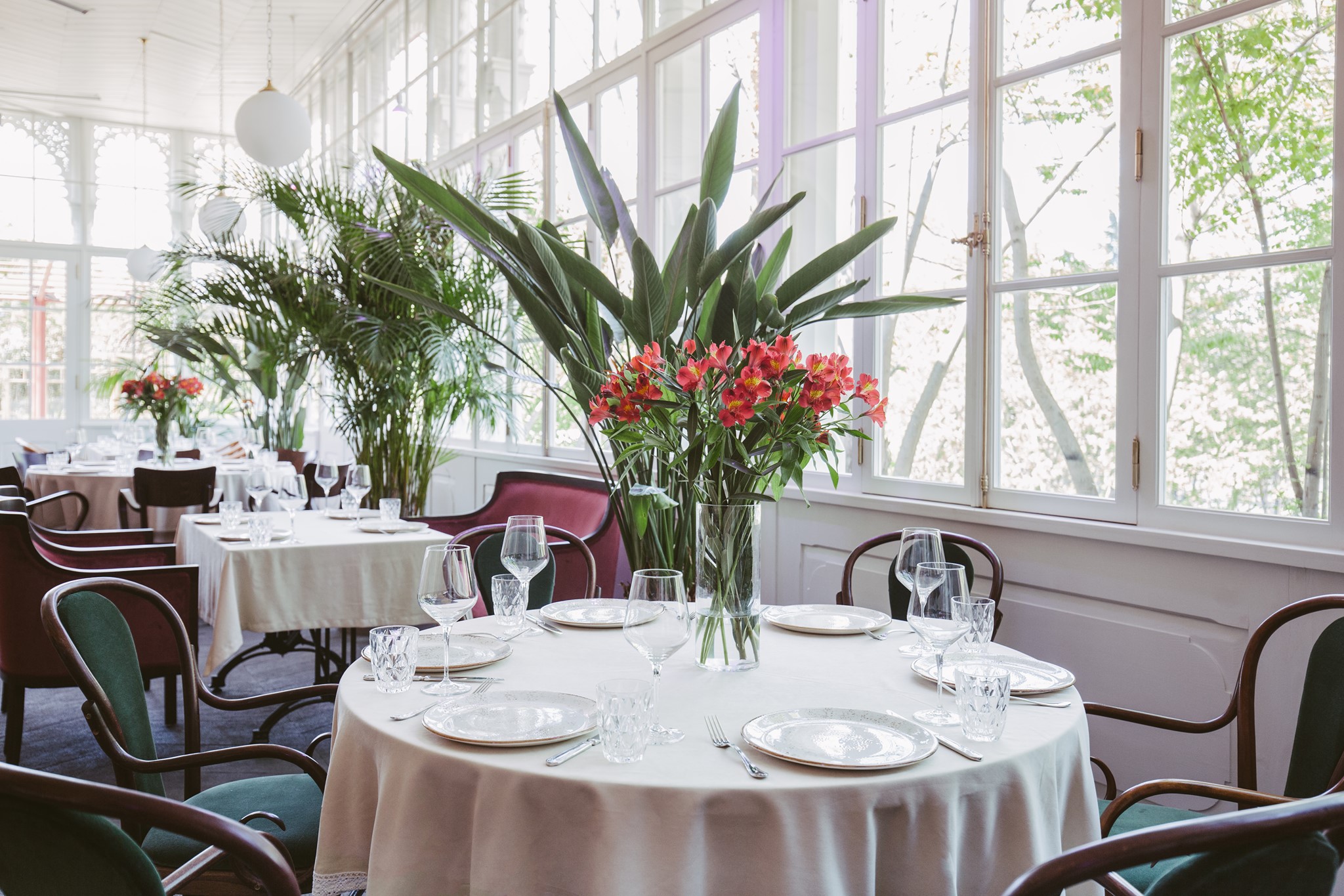 Culinary Experiences